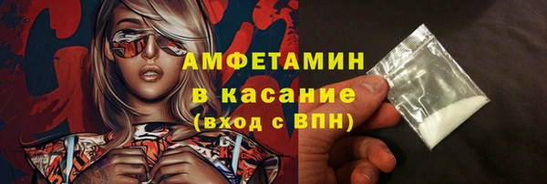 индика Белокуриха