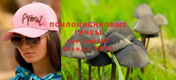 индика Белокуриха