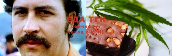 индика Белокуриха