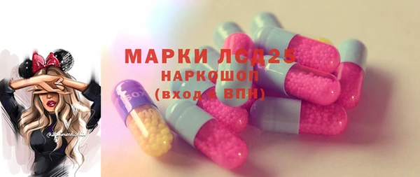 индика Белокуриха