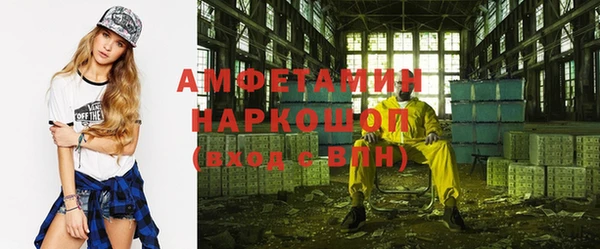 индика Белокуриха