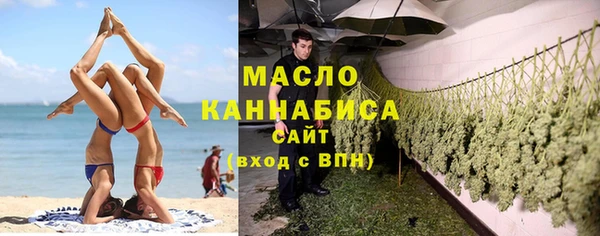 индика Белокуриха