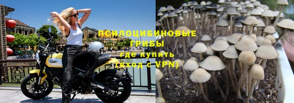 дмт Белоозёрский