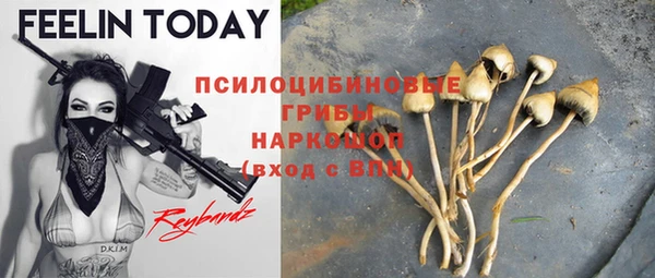 индика Белокуриха