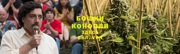индика Белокуриха