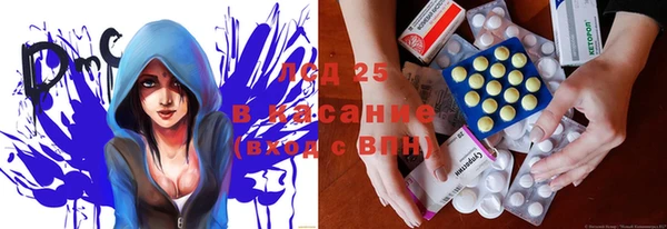 индика Белокуриха